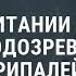 Telegraph сообщник Петрова и Боширова не улетел из Британии Новости