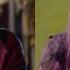 Dove Cameron Mal If Only Reprise Descendants 1 And 2 Deleted Scene