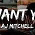 AJ Mitchell I Don T Want You Back Lyrics