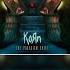 Korn Prey For Me LYRICS VIDEO