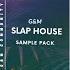 SLAP HOUSE BRAZILIAN BASS SAMPLE PACK