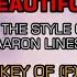 Aaron Lines You Can T Hide Beautiful Karaoke Guide Vocal