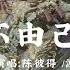 陳彼得 8082Audio 不由己 黑神話 悟空 火焰山片尾曲 動態歌詞