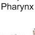 Anatomy Of The PHARYNX Dr Yusuf