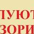 Студенты и преподаватели ВоГУ читают повесть Василия Белова Целуются зори