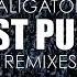 Dj Alligator Fist Pump Remixes