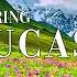 Spring Caucasus Mountains 4K Ultra HD Stunning Footage Scenic Relaxation Film With Calming Music