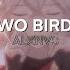 Two Birds Regina Spektor Edit Audio