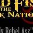 Kiss My Rebel Ass Creed Fisher The Redneck Nation Band Mp4