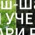 Сура Аш Шамс 10 раз красиво читает шейх Мишари Рашид Куран Муслим Сунна пророкмухаммадﷺ Пророк