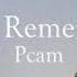 Pcam Will You Remember Me Official Lyric Video