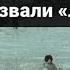 Почему первый поход белогвардейцев прозвали Ледяным