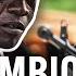 Mozambique From Violence To Violence Civil War To Jihadist Threat Africa Documentary