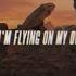 Céline Dion Flying On My Own Official Lyric Video