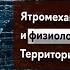 Фундаментальная психология 7 Ятромеханика и физиология Территория психологии