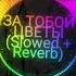 ЗА ТОБОЙ ЦВЕТЫ Slowed Reverb