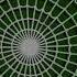 Green Screen Spider Web Free Of Use