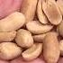 02 10 2020 Health FDA Approves First Peanut Allergy Pill For Children