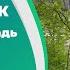 Владивосток май 2024 район Снеговая Падь парк Снеговая Падь