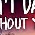 Matoma Enrique Iglesias I Don T Dance Without You Ft Konshens Lyrics Lyric Video