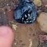 Ordinary Black Rock Found On The Beach Turns Into Stunning Gemstone