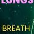 Heal Your Lungs Get Rid Of Shortness Of Breath Coughing Allergies Infections Fatigue 528 Hz