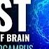 Stimulate The Hippocampus Prevent Dementia Boost Memory Capacity Of Brain Cognitive Enhancer