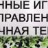 Песочная терапия Техника Мотивационные игры с песком Обучение арт терапии Елена Тарарина