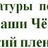 Урок литературы по рассказу Кавказский пленник Саши Чёрного