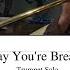 I Love The Way You Re Breaking My Heart Racheal Vilray Trumpet Solo Transcription