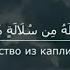 Сура ЗЕМНОЙ ПОКЛОН Мухаммад Тарик