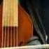 Viola Da Gamba Viole De Gambe