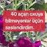 40 Acar Duası Möhtəşəm Bir Duadır