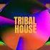 Tjam Tribal House Official Song