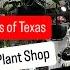 Big Box Store Plant Shopping Alternative Shop Local Plant Shop Ruibal S Plants Of Texas Dallas Texas