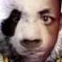 PANDA LANGA Mi Gosta