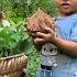 Single Mother 17 Years Old Grows Sweet Potatoes And Waits For Autumn Ly Tieu Anh