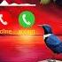 New Call Ringtone 2024 Hindi Ringtone 2024 Trending Ringtone Love Ringtone Song Mobile Ringtone