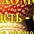 Мухомор часть 6 Как легко и быстро процедить сому Разновидности сомы