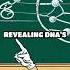 The Discovery Of DNA S Double Helix