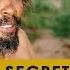 Bushman S Secret The Khoisan And The Secret Of Hoodia