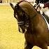 Charlotte Dujardin Valegro S World Record Breaking Freestyle Olympia 2014 Full Length