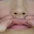 Get FULLER Lips With Massage Fast Results