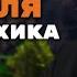 Как Конопля Каннабис Марихуана Влияет на Психику Александр Рощин