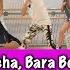 Tchu Tcha Bara Bere Remix Zumba Pabz Palajos Choreography Dance