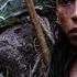 Apocalypto HD Trailer