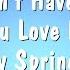 You Don T Have To Say You Love Me Dusty Springfield Karaoke Version