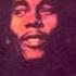 Bob Marley Iron Lion Zion 12 Inch Mix