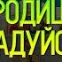 Псалом 26 50 90 и Богородице Дево радуйся молитва защитная от зла врагов и грехов 12 раз