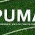 FREE Wizkid Ft Tems Ayra Starr Type Beat Puma Afrobeat Instrumental 2023